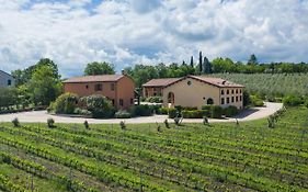 Collina Dei Poeti